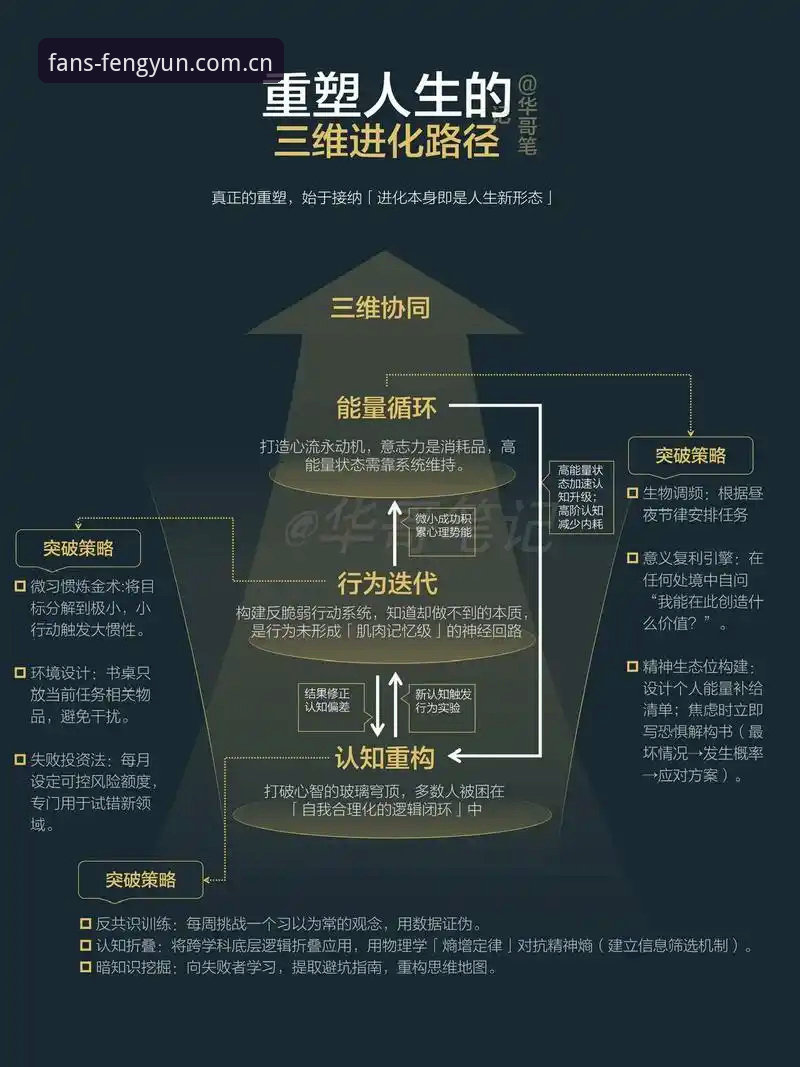 风云体育数据赛事替代站攻略 风云体育数据赛事替代站操作教程:从初代到v2.0.5的进化路径
